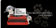 The Rover Reporter